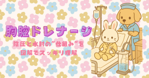 もう怖くない！胸腔ドレナージが根本からわかる📚陰圧と水封の"仕組み"を図解でスッキリ理解
